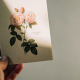 Thankful For You Floral Note Card Set