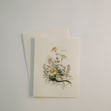 Chamomile Note Card Pack