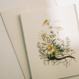 Chamomile Note Card Pack