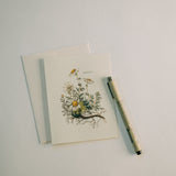 Chamomile Note Card Pack