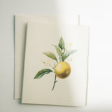 Orange Branch Note Card Pack