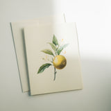 Orange Branch Note Card Pack