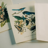 Vintage Birds Thank You Card Pack