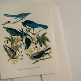 Vintage Birds Thank You Card Pack