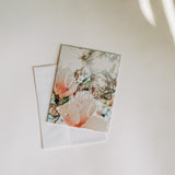 God Wastes Nothing Note Card Pack | Magnolia